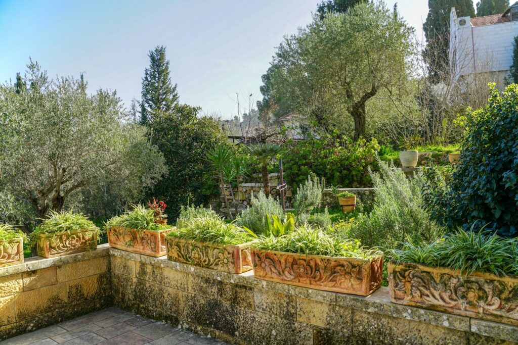 Jardín mediterráneo con olivos y jardineras de barro
