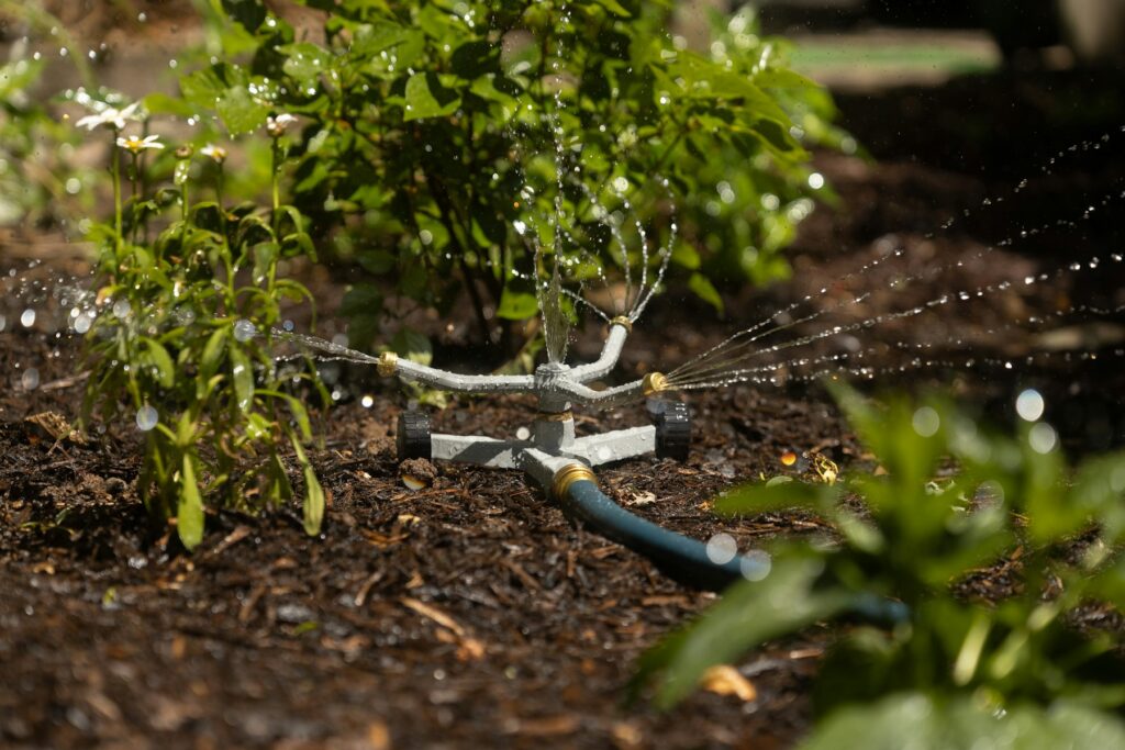 Aspersor regando un arriate de plantas