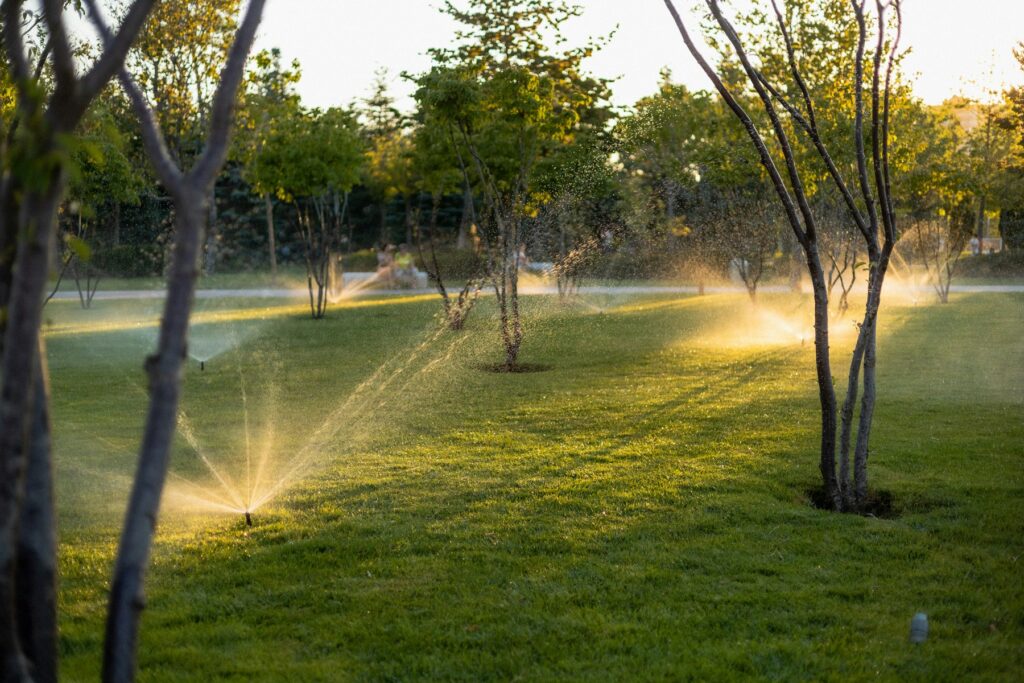 Aspersores regando el césped de un jardín al atardecer